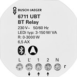 Radiofrequent ontvanger schakelmateriaal ABB Busch-Jaeger 6711 UBT